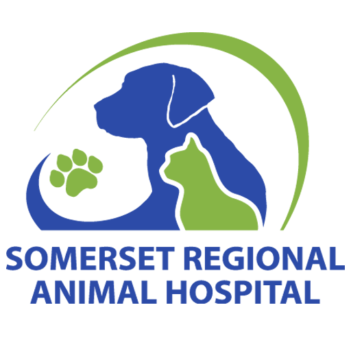 Somerset Regional Animal Hospital