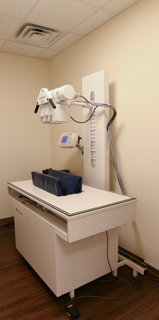 picture of pet ultrasound machine